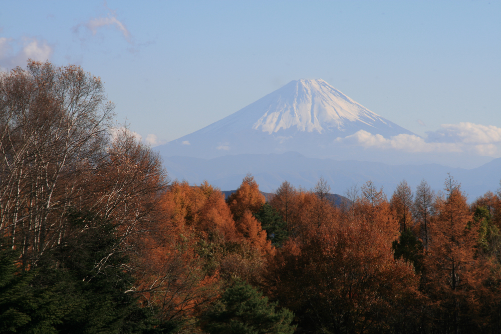 秋の富士(2012.11.12)